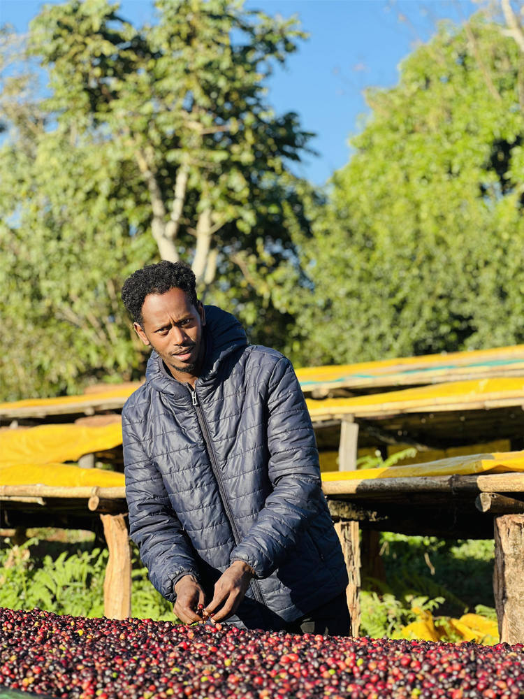 mohi coffee exporter ceo