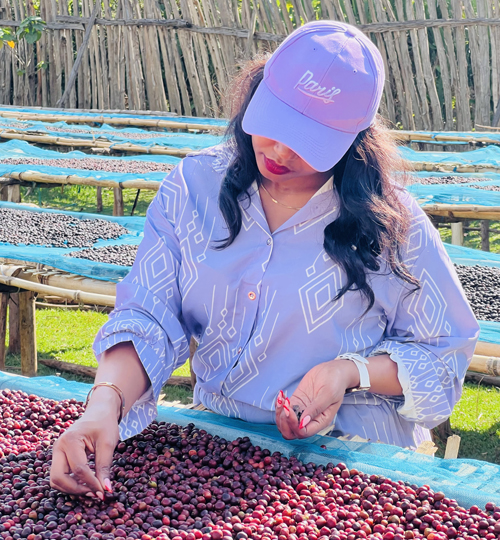 mohi,bensa bombe,shantawenne