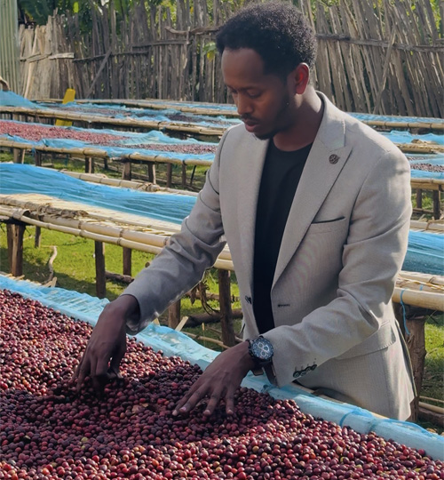 aribegona wereda raro