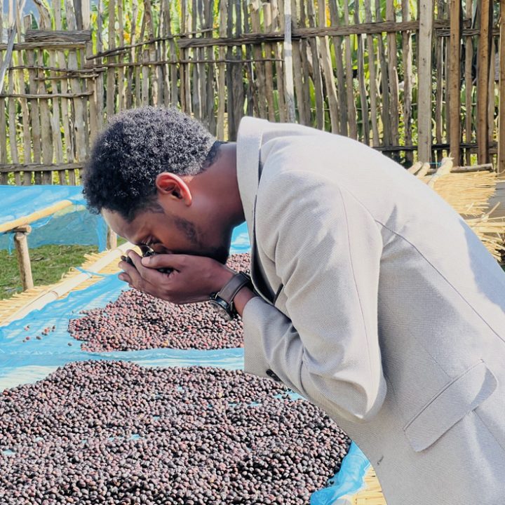 mohi coffee export ceo